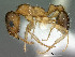  ( - SAM-HYM-C019143)  @11 [ ] Copyright (2012) Nokuthula Mbanyana Iziko Museums of Cape Town