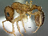  ( - SAM-HYM-C019144)  @11 [ ] Copyright (2012) Nokuthula Mbanyana Iziko Museums of Cape Town