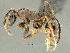  ( - SAM_HYM_CO25168)  @11 [ ] Copyright (2012) Nokuthula Mbanyana Iziko Museums of Cape Town