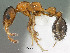  ( - SAM-HYM-C019131)  @11 [ ] Copyright (2012) Nokuthula Mbanyana Iziko Museums of Cape Town