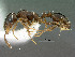  ( - SAM-HYM-C009355)  @11 [ ] Copyright (2012) Nokuthula Mbanyana Iziko Museums of Cape Town