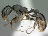  ( - SAM_HYM_CO19581)  @11 [ ] Copyright (2012) Nokuthula Mbanyana Iziko Museums of Cape Town