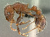  ( - SAM-HYM-C019823)  @15 [ ] Copyright (2011) Nokuthula Mbanyana Iziko Museums of Cape Town