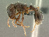  ( - SAM-HYM-C019839)  @15 [ ] Copyright (2011) Nokuthula Mbanyana Iziko Museums of Cape Town