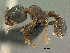  ( - SAM-HYM-C020467)  @11 [ ] Copyright (2011) Nokuthula Mbanyana Iziko Museums of Cape Town