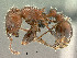  ( - SAM-HYM-C023308)  @11 [ ] Copyright (2011) Nokuthula Mbanyana Iziko Museums of Cape Town