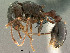  ( - SAM-HYM-C024382)  @14 [ ] Copyright (2011) Nokuthula Mbanyana Iziko Museums of Cape Town