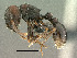  ( - SAM-HYM-C024396)  @11 [ ] Copyright (2011) Nokuthula Mbanyana Iziko Museums of Cape Town