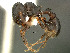  ( - SAM-HYM-30014)  @14 [ ] Copyright (2012) Nokuthula Mbanyana Iziko Museums of Cape Town