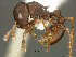 ( - SAM-HYM-30065)  @11 [ ] Copyright (2012) Nokuthula Mbanyana Iziko Museums of Cape Town