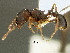  ( - SAM-HYM-C001317)  @11 [ ] Copyright (2012) Nokuthula Mbanyana Iziko Museums of Cape Town