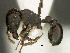 ( - SAM-HYM-C0007989)  @11 [ ] Copyright (2012) Nokuthula Mbanyana Iziko Museums of Cape Town