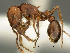  ( - SAM-HYM-C007993)  @14 [ ] Copyright (2012) Nokuthula Mbanyana Iziko Museums of Cape Town