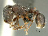  ( - HYM-C018977)  @11 [ ] Unspecified (default): All Rights Reserved  Iziko Museums Unspecified
