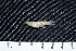  ( - FSCH151)  @12 [ ] CreativeCommons - Attribution Non-Commercial Share-Alike (2014) Rocio Rodiles Hernandez El Colegio de la Frontera Sur