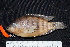  ( - FSCH32)  @13 [ ] CreativeCommons - Attribution Non-Commercial Share-Alike (2014) Rocio Rodiles Hernandez El Colegio de la Frontera Sur
