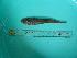  ( - SCSIO-Fish-Z711061)  @12 [ ] Unspecified (default): All Rights Reserved  Unspecified Unspecified