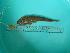  ( - SCSIO-Fish-Z711063)  @12 [ ] Unspecified (default): All Rights Reserved  Unspecified Unspecified