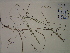  ( - SEBB-1294)  @11 [ ] Copyright (2012) John Barone Columbus State University