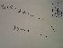  ( - SEBB-1337)  @11 [ ] Copyright (2012) John Barone Columbus State University