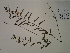  ( - SEBB-1297)  @11 [ ] Copyright (2012) John Barone Columbus State University