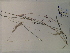  ( - SEBB-1143)  @11 [ ] Copyright (2012) John Barone Columbus State University