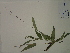  ( - SEBB-1085)  @11 [ ] Copyright (2012) John Barone Columbus State University