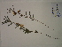  ( - SEBB-1296)  @11 [ ] Copyright (2012) John Barone Columbus State University