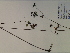  (Thaspium barbinoide - SEBB-1287)  @11 [ ] Copyright (2010) John Barone Columbus State University