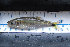  ( - CNF T1-1)  @12 [ ] CreativeCommons - Attribution Non-Commercial Share-Alike (2013) Robert J Eakins EcoMetrix Incorporated