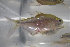  ( - RW T4-8)  @13 [ ] CreativeCommons - Attribution Non-Commercial Share-Alike (2013) Robert J Eakins EcoMetrix Incorporated