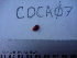  ( - COCA-07)  @11 [ ] No Rights Reserved  Unspecified Unspecified