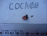  ( - COCA-08)  @11 [ ] No Rights Reserved  Unspecified Unspecified