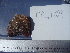  ( - CRGI-09)  @11 [ ] No Rights Reserved  Unspecified Unspecified