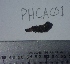  (Phragmatopoma californica - PHCA-01)  @11 [ ] No Rights Reserved  Unspecified Unspecified
