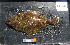 ( - NH-12)  @13 [ ] No Rights Reserved  Unspecified Unspecified