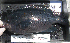  ( - VH-35)  @13 [ ] No Rights Reserved  Unspecified Unspecified