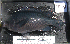  ( - VH-37)  @13 [ ] No Rights Reserved  Unspecified Unspecified