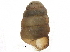  ( - BIOUG24635-F11)  @12 [ ] CreativeCommons - Attribution (2016) CBG Photography Group Centre for Biodiversity Genomics