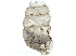  ( - BIOUG24635-G11)  @11 [ ] CreativeCommons - Attribution (2016) CBG Photography Group Centre for Biodiversity Genomics
