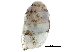  ( - BIOUG24635-G12)  @11 [ ] CreativeCommons - Attribution (2016) CBG Photography Group Centre for Biodiversity Genomics