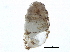  ( - BIOUG24635-H01)  @14 [ ] CreativeCommons - Attribution (2016) CBG Photography Group Centre for Biodiversity Genomics