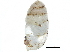  ( - BIOUG24635-H02)  @11 [ ] CreativeCommons - Attribution (2016) CBG Photography Group Centre for Biodiversity Genomics