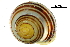  (Capaea - BIOUG27641-H04)  @11 [ ] CreativeCommons - Attribution (2016) CBG Photography Group Centre for Biodiversity Genomics