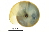  ( - BIOUG27665-F01)  @13 [ ] CreativeCommons - Attribution (2016) CBG Photography Group Centre for Biodiversity Genomics