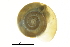  ( - BIOUG27665-F02)  @14 [ ] CreativeCommons - Attribution (2016) CBG Photography Group Centre for Biodiversity Genomics