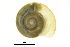  ( - BIOUG27665-F03)  @14 [ ] CreativeCommons - Attribution (2016) CBG Photography Group Centre for Biodiversity Genomics