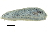  ( - BIOUG27665-G04)  @11 [ ] CreativeCommons - Attribution (2016) CBG Photography Group Centre for Biodiversity Genomics