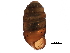  ( - BIOUG27665-G08)  @11 [ ] CreativeCommons - Attribution (2016) CBG Photography Group Centre for Biodiversity Genomics