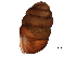  ( - BIOUG27665-G10)  @11 [ ] CreativeCommons - Attribution (2016) CBG Photography Group Centre for Biodiversity Genomics